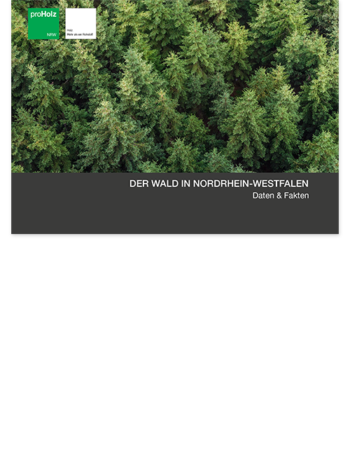 Der Wald in Nordrhein-Westfalen
