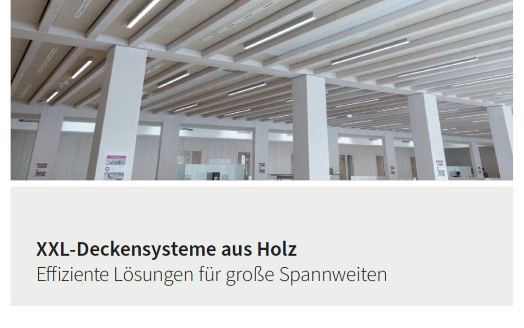 XXL Deckensysteme aus Holz