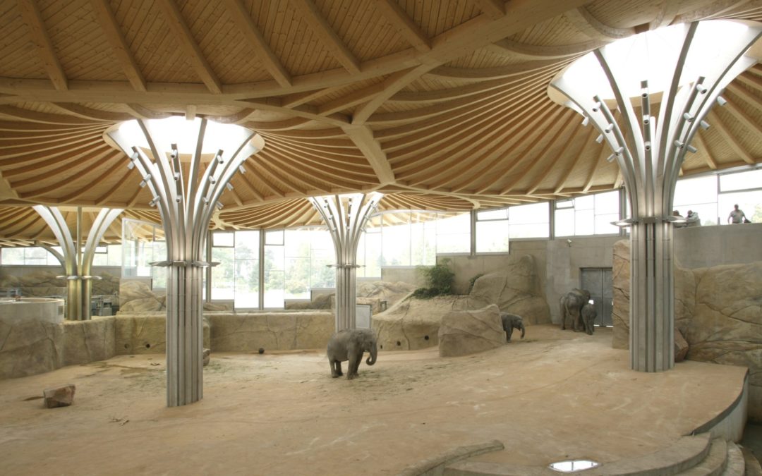 Elefantenhaus Kölner Zoo