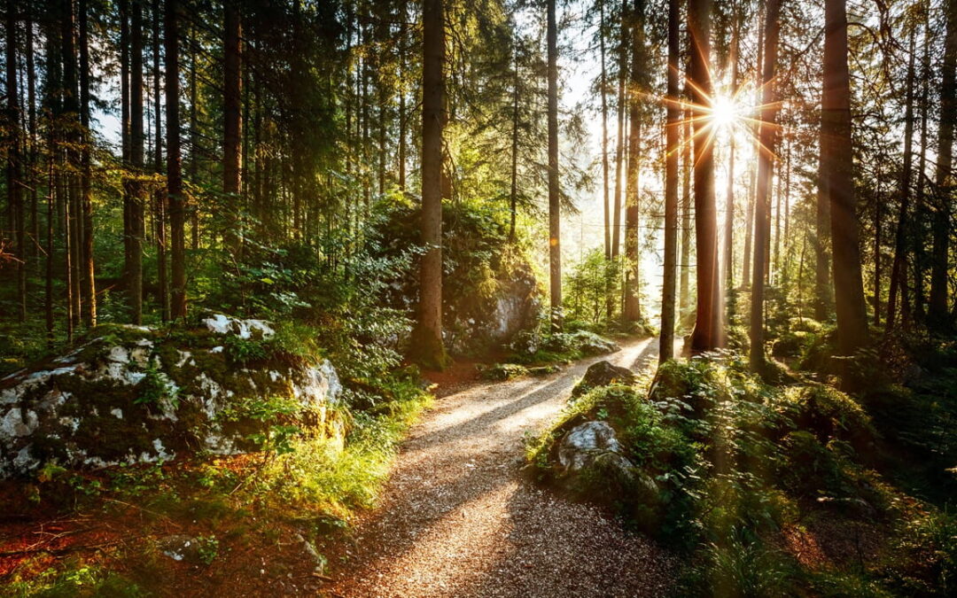 DERIX Nachhaltigkeitsbericht Mit Haltung und Verantwortung in die Zukunft